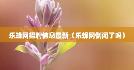 乐蜂网招聘信息最新（乐蜂网倒闭了吗）