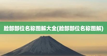 脸部部位名称图解大全(脸部部位名称图解)
