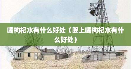 喝枸杞水有什么好处（晚上喝枸杞水有什么好处）