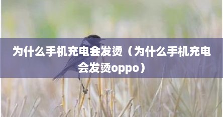 为什么手机充电会发烫（为什么手机充电会发烫oppo）