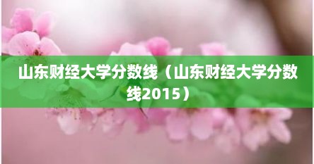 山东财径大学分数线（山东财径大学分数线2015）