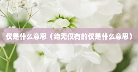 仅是什么意思（绝无仅有的仅是什么意思）