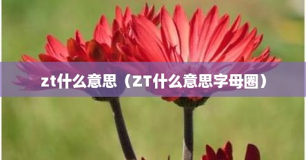 zt什么意思（ZT什么意思字母圈）
