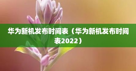 华为新机发布时间表（华为新机发布时间表2022）