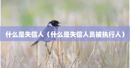 什么是失信人（什么是失信人员被执行人）