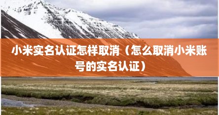 小米实名认证怎样取消（怎么取消小米账号的实名认证）