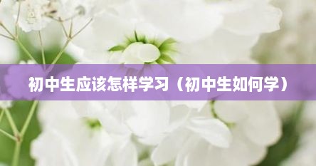初中生应该怎样学习（初中生如何学）
