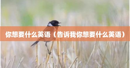 你想要什么英语（告诉我你想要什么英语）