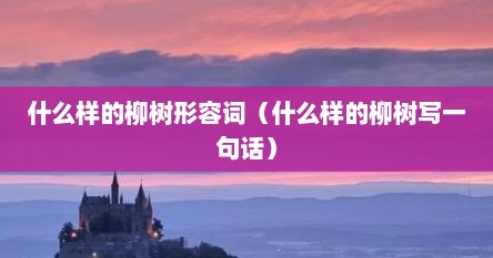 什么样的柳树形容词（什么样的柳树写一句话）