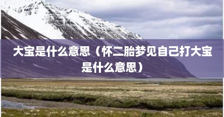 大宝是什么意思（怀二胎梦见自己打大宝是什么意思）