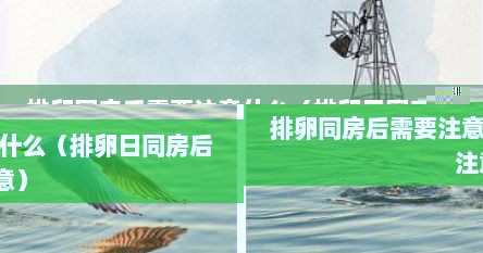 排卵同房后需要注意什么（排卵日同房后注意）