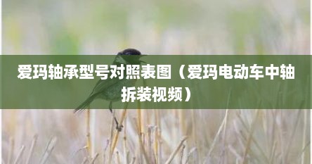 爱玛轴承型号对照表图（爱玛电动车中轴拆装视频）