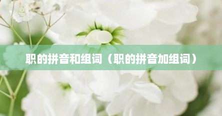职的拼音和组词（职的拼音加组词）