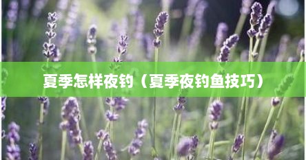 夏季怎样夜钓（夏季夜钓鱼技巧）