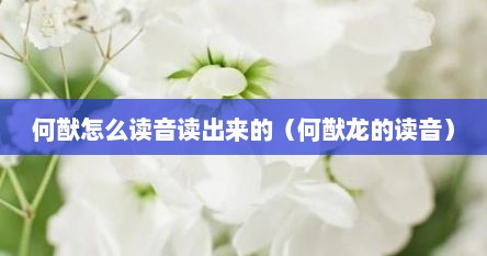 何猷怎么读音读出来的（何猷龙的读音）