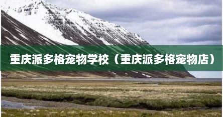 重庆派多格宠物学校（重庆派多格宠物店）