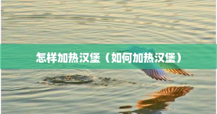 怎样加热汉堡（如何加热汉堡）