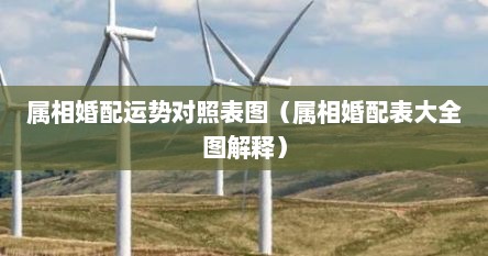 属相婚配运势对照表图（属相婚配表大全图解释）