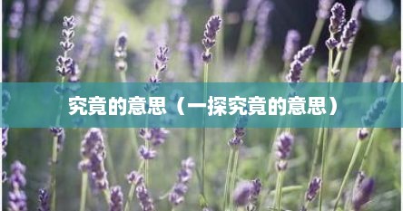 究竟的意思（一探究竟的意思）