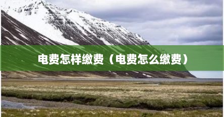 电费怎样缴费（电费怎么缴费）