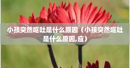 小孩突然呕吐是什么原因（小孩突然呕吐是什么原因,应）
