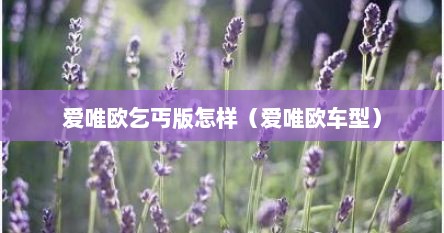 爱唯欧乞丐版怎样（爱唯欧车型）