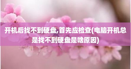 开机后找不到硬盘,首先应检查(电脑开机总是找不到硬盘是啥原因)