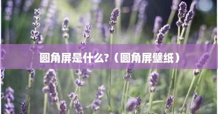 圆角屏是什么?（圆角屏壁纸）