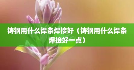 铸钢用什么焊条焊接好（铸钢用什么焊条焊接好一点）