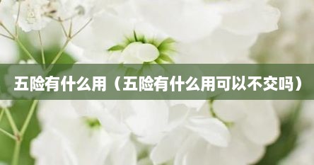 五险有什么用（五险有什么用可以不交吗）