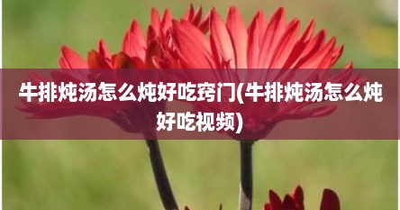 牛排炖汤怎么炖好吃窍门(牛排炖汤怎么炖好吃视频)