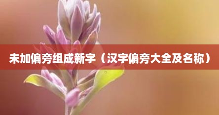 未加偏旁组成新字（汉字偏旁大全及名称）