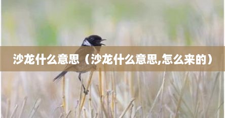 沙龙什么意思（沙龙什么意思,怎么来的）