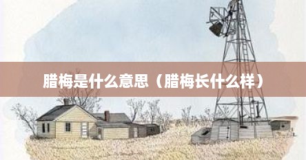 腊梅是什么意思（腊梅长什么样）