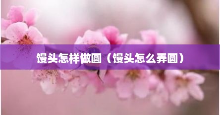 馒头怎样做圆（馒头怎么弄圆）