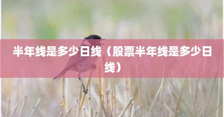 半年线是多少日线（股票半年线是多少日线）