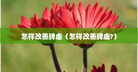 怎样改善脾虚（怎样改善脾虚?）