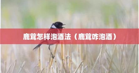 鹿茸泡酒需要处理鹿茸毛吗（鹿茸泡酒一斤白酒加多少鹿茸）