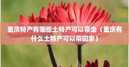 重庆特产有哪些土特产可以带走（重庆有什么土特产可以带回家）