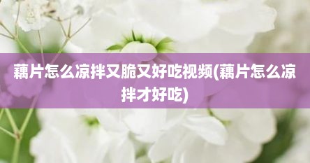 藕片怎么凉拌又脆又好吃视频(藕片怎么凉拌才好吃)