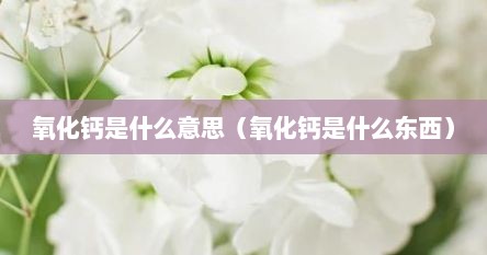 氧化钙是什么意思（氧化钙是什么东西）