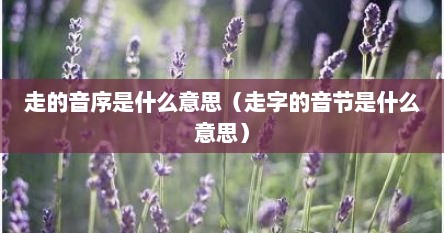 走字的音序和读音分别是什么（走的音节和音序）
