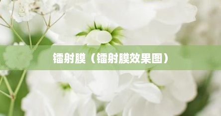 镭射膜（镭射膜效果图）