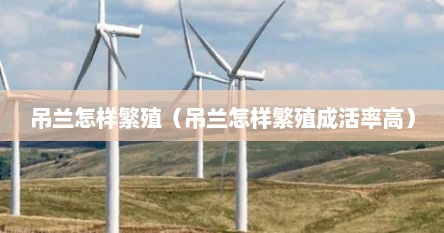 吊兰怎样繁殖（吊兰怎样繁殖成活率高）