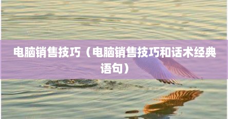 电脑销售技巧（电脑销售技巧和话术经典语句）