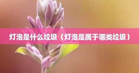 灯泡是什么垃圾（灯泡是属于哪类垃圾）