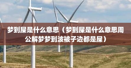 梦到屎是什么意思（梦到屎是什么意思周公解梦梦到波被子边都是屎）