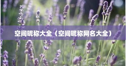 空间昵称大全（空间昵称网名大全）