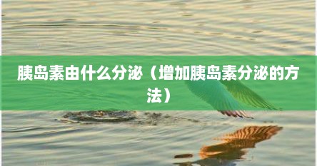胰岛素由什么分泌（增加胰岛素分泌的方法）