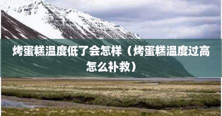 烤蛋糕温度低了会怎样（烤蛋糕温度过高怎么补救）